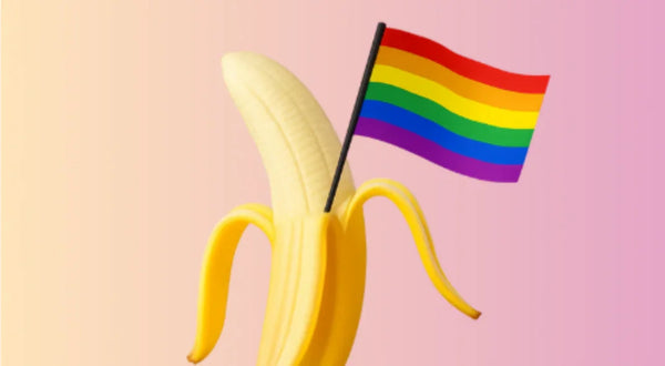 המדריך לצעצועים ראשונים לגברים גאים – כל מה שחשוב לדעת