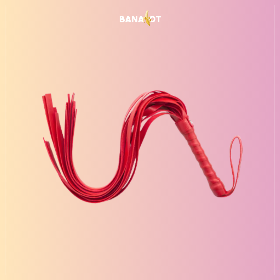 קולר עם רצועה ושוט