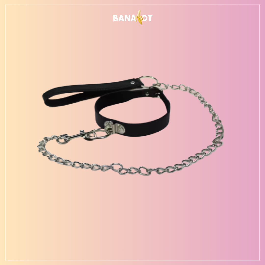 קולר עם רצועה ושוט