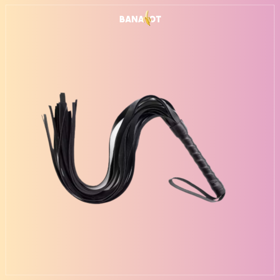 קולר עם רצועה ושוט