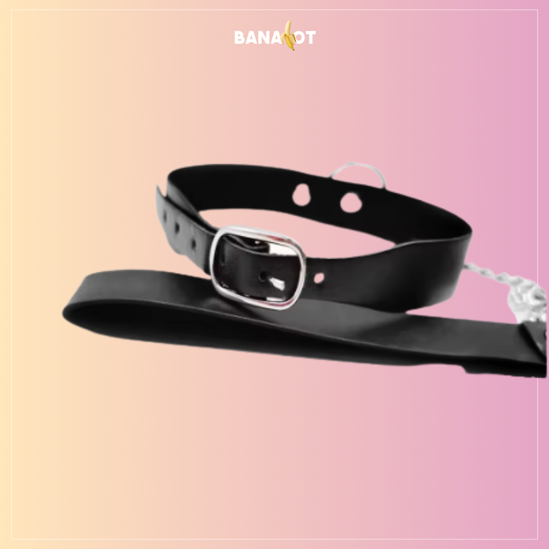 קולר עם רצועה ושוט